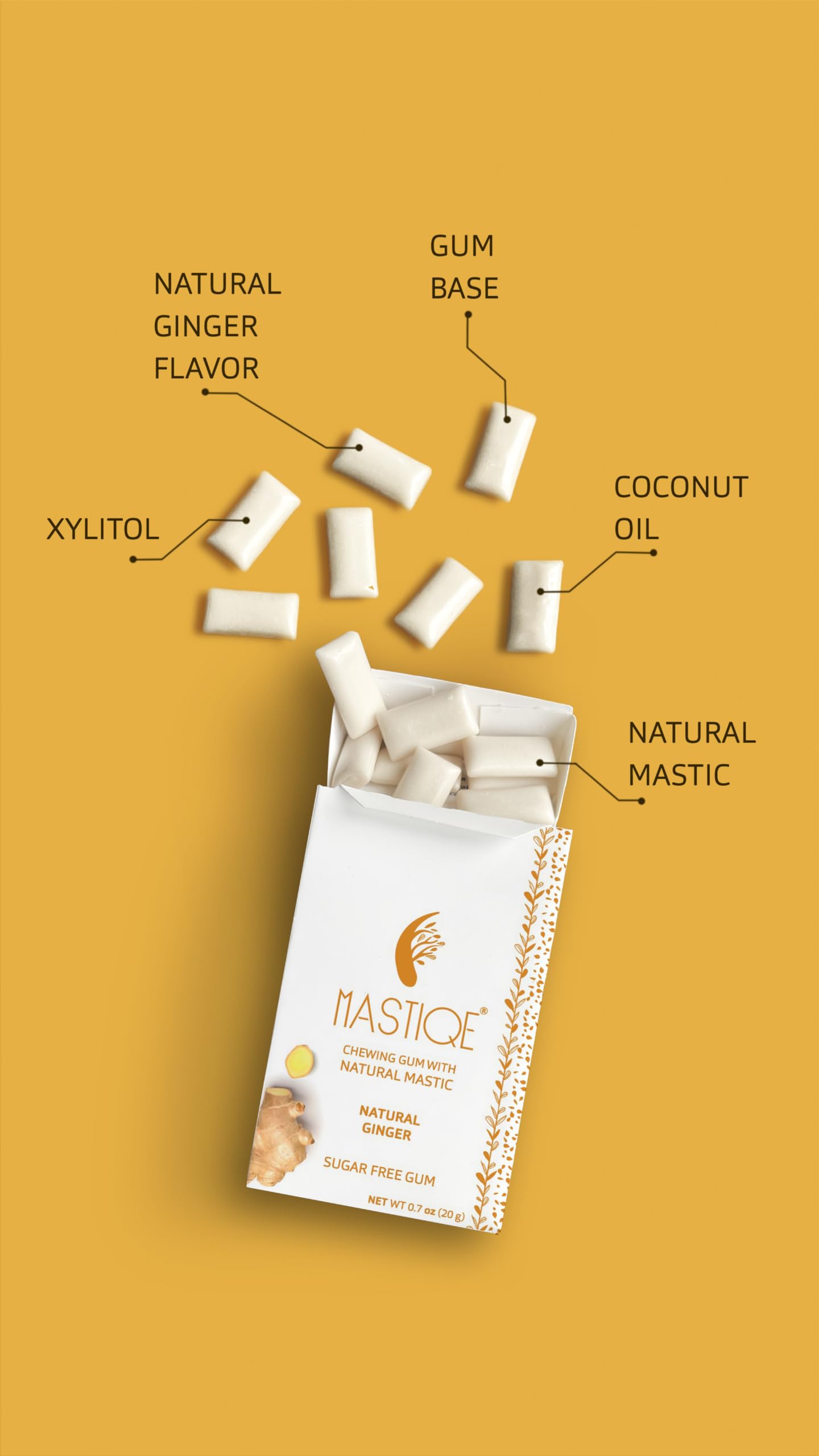 Mastiqe Sugar Free Hard Chewing Gum With Natural Mastic (Ginger, 20 Count)