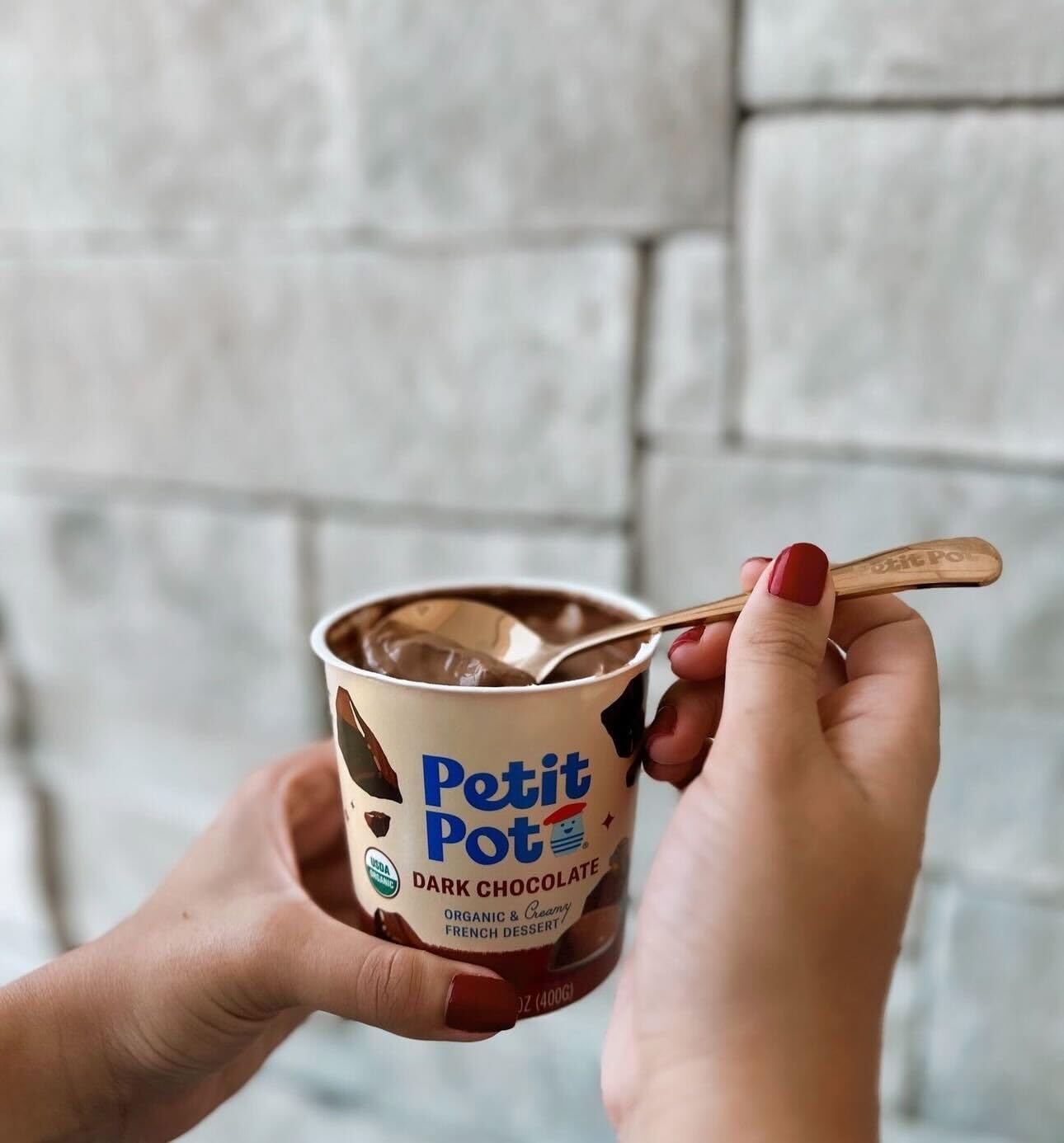 PETIT POT Organic Dark Chocolate French Dessert, 14 OZ