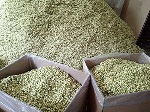 Tooget Fragrant Natural Pure Jasmine Buds Dried Jasmine Flowers Wholesale, Herbal Tea - 4 Oz