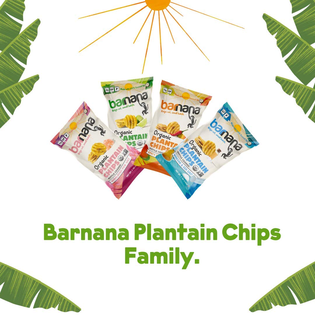 Barnana Organic Plantain Chips With Himalayan Pink Salt, 5 Oz