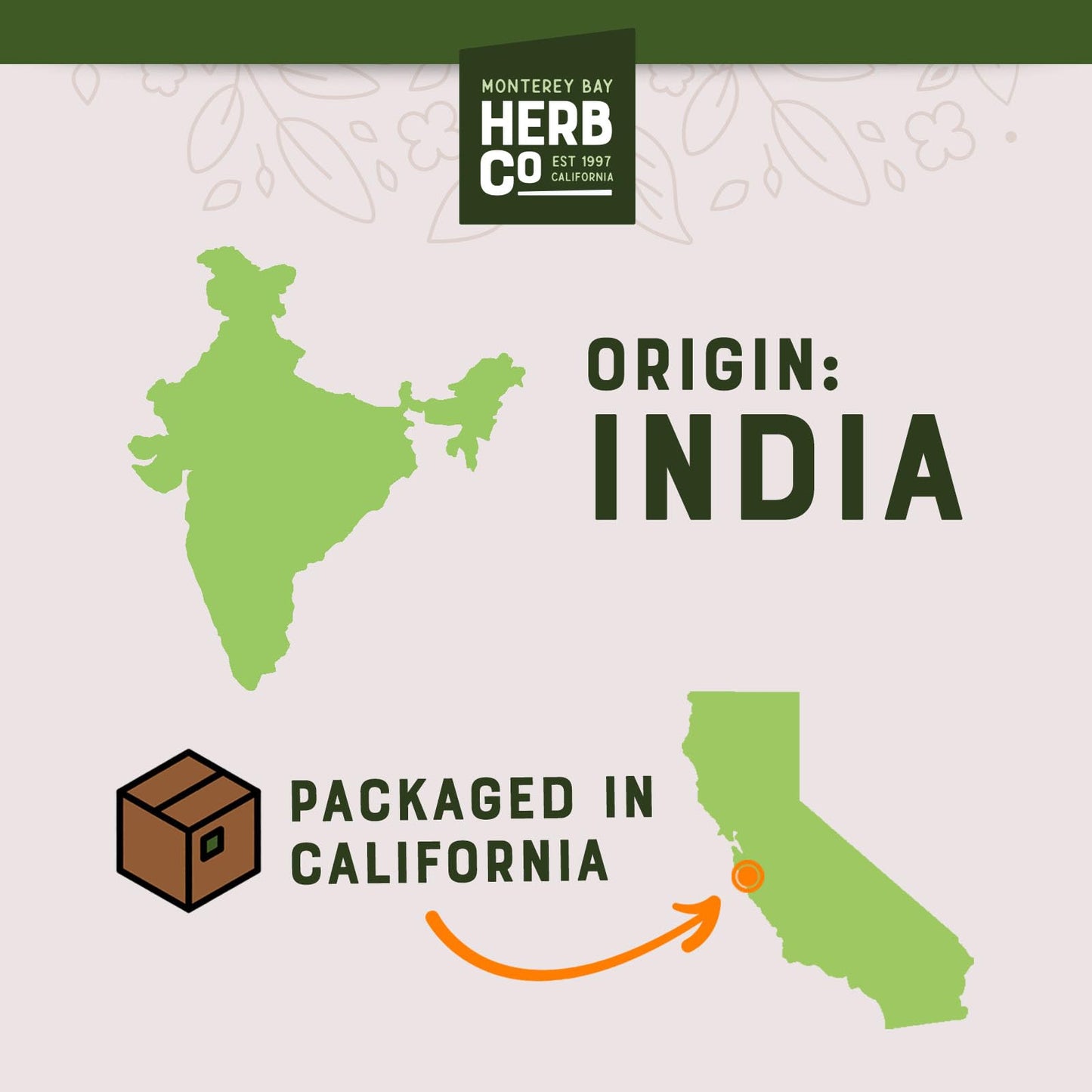 MONTEREY BAY HERB CO Roasted Chicory Root Coffee Substitute & Herbal Tea Blend 1/4 lb