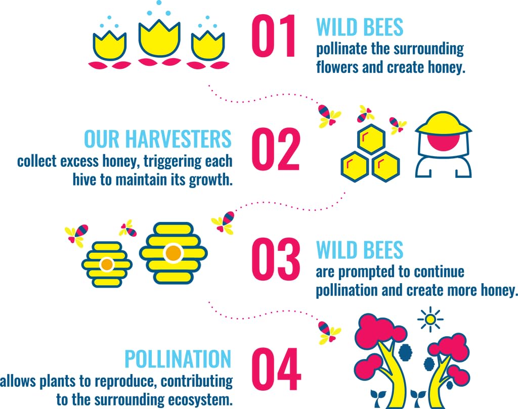 Heavenly Organics Honey Patty Chocolate Mint Organic Bag, 4.66 oz