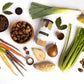 18 Chestnuts Plant Based Soup - Holiday Bundle Box: Butternut Squash Pear, Chestnut Maple, Mountain Mushroom Soup Bundle, Plant