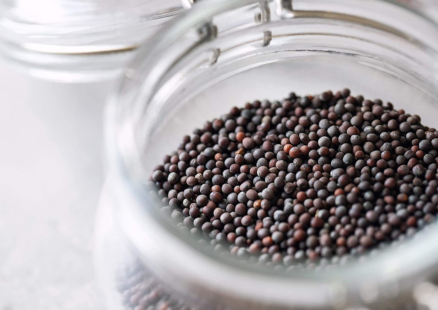 Food To Live - Organic Black Mustard Seeds, 1.5 Pounds - Non-Gmo, Whole Hot Spice, Non-Irradiated, Vegan, Kosher, Bulk. High In