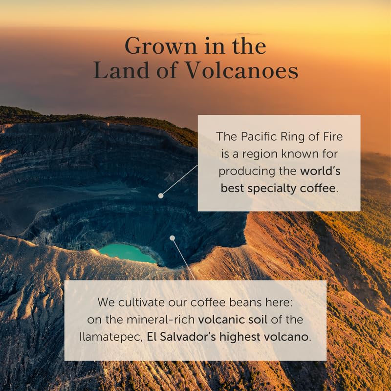 Bean of Fire Medium Roast Ground Coffee - El Salvador Red Bourbon Honey, Smooth & Fruity, 16 oz