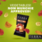 Terra Original Sea Salt Real Vegetable Chips, 5 Oz (Pack Of 6)