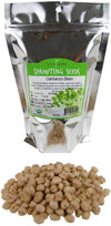 Dried Garbanzo Beans- Organic Sprouting Seeds - 1 Lbs - Handy Pantry Brand - Dry Garbonzo Bean / Seeds - For Planting, Gardening