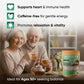 TeaDreamTea Lemongrass Herbal Tea Bags - Caffeine Free, 100 Count, Supports Healthy Digestion, Enjoy Hot or Cold
