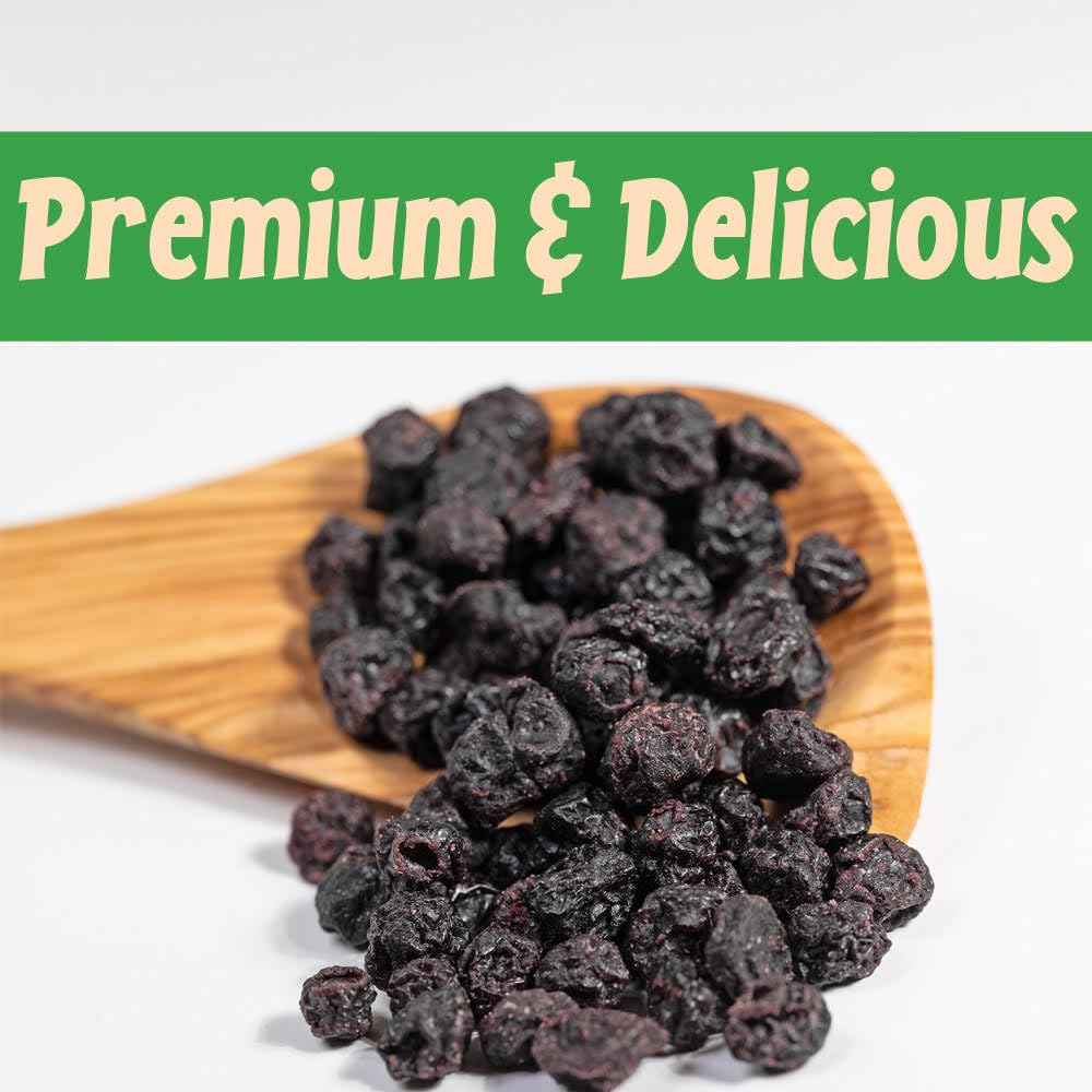 Sincerely Nuts Dried Blueberries (1 LB) Gluten-Free, Vegan & Kosher Snack - Fresh from USA - Bulk, Delicious Dried Fruit for all