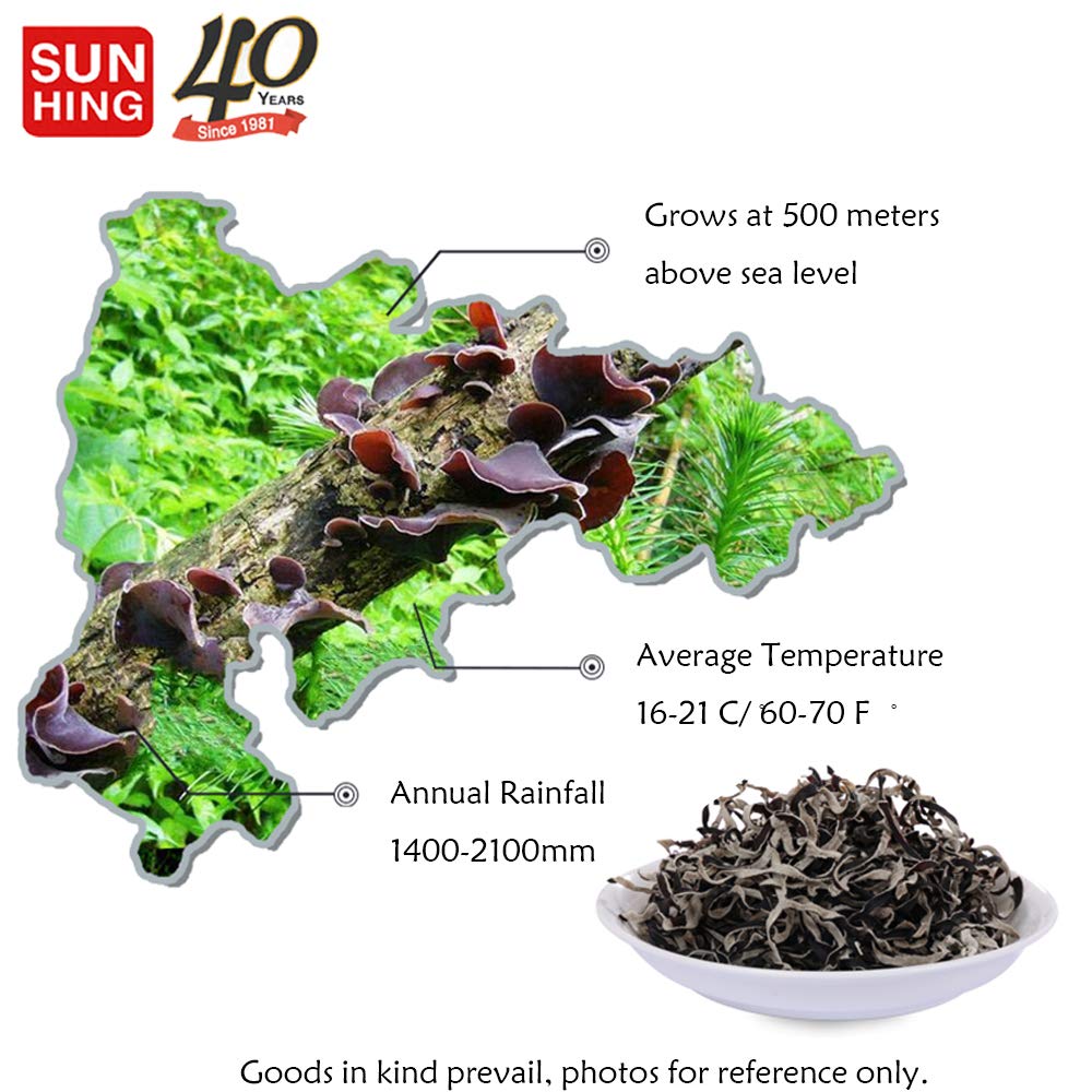 Fortune Dried Woodear Mushroom Shredded 4oz (Pack of 3) - Dried Black Fungus