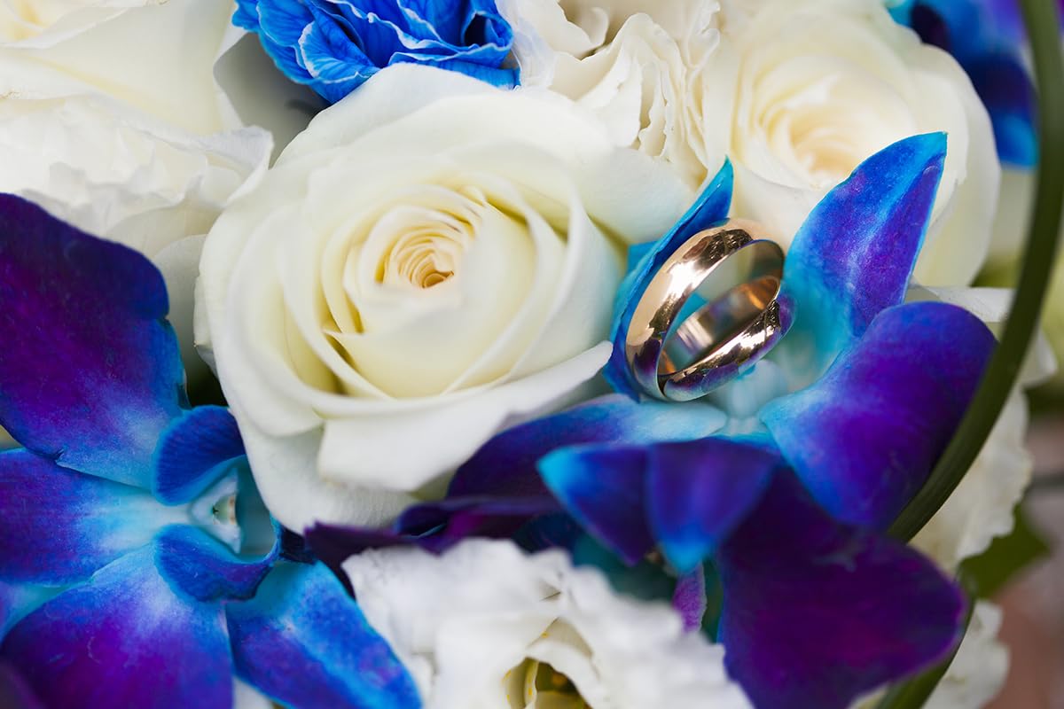 Sunne Tropical Orchidclub Usa Fresh Cut Flowers Dendrobium Orchids (10 Stems Blue & White)