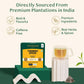 VAHDAM Turmeric Spice Herbal Tea Bags - Caffeine Free, Non-GMO, Gluten Free, 15 Count, Individually Wrapped Pyramid Bags