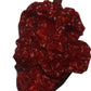 Wicked Reaper Wicked Tickle Carolina Reaper Chili Peppers World'S Hottest Dried Spice 10 Pack +2 Free