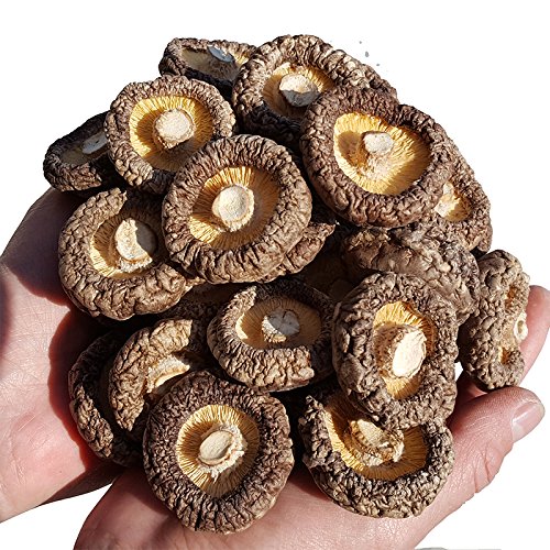 ONETANG Dried Mushrooms 5 Pound, 2024 New Season, Vacuum Packing, Dried Shiitake Mushrooms, Natural Grown Mushroom, No Fumigatio