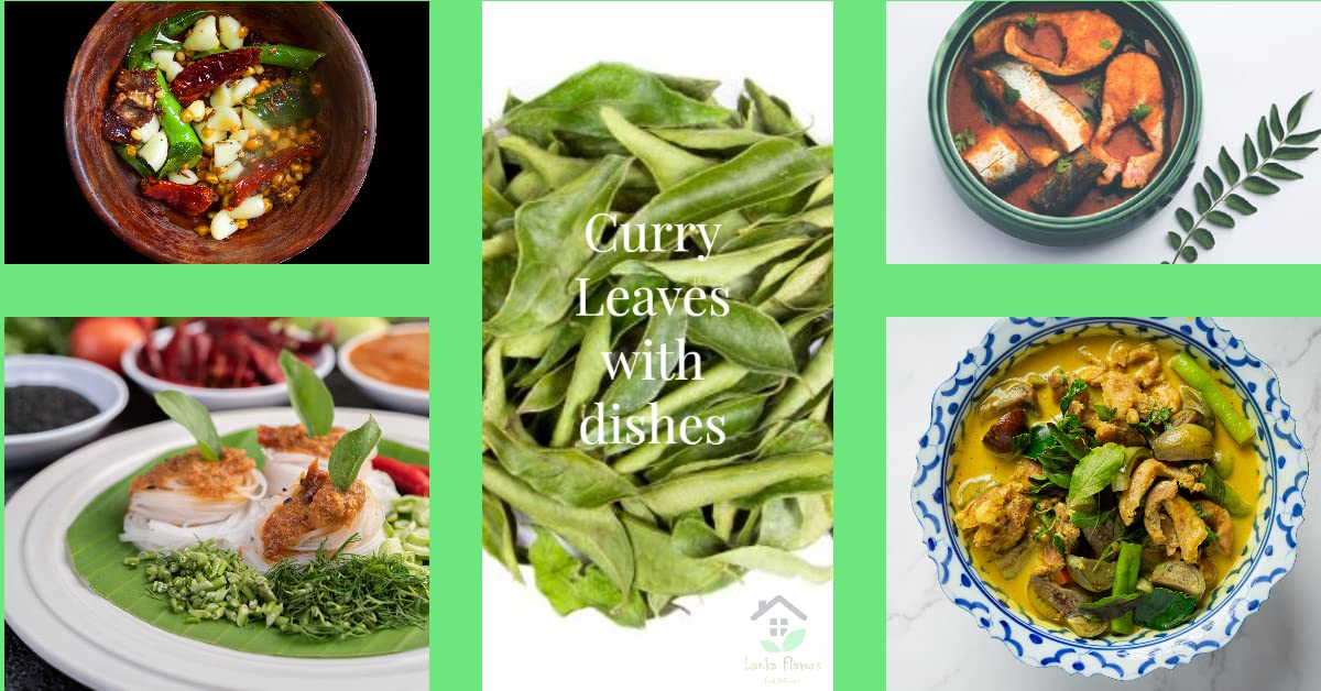 Dried Curry Leaves 0.7 Oz (20 g) Whole Herbs Leaf for Asian Spices Food Natural Air Dried Kari Patta Aromatic Flavors - Lanka Fl