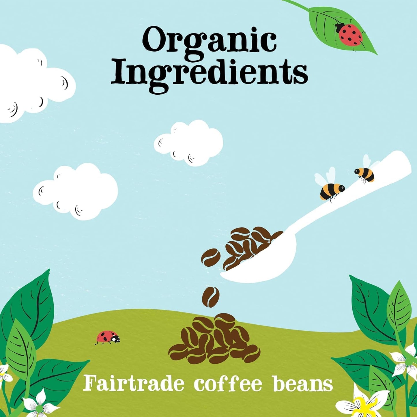 Clipper Coffee: Organic Latin American Instant Coffee - Medium Roast Coffee, Freeze Dried & Ethically Sourced - 6 Pack, 100G Per