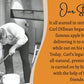 Dillman Farm All Natural Orange Marmalade - Gluten-Free, Non-Gmo, Vgan, Kosher, Preservative Free, Corn Syrup Free - Made In Usa