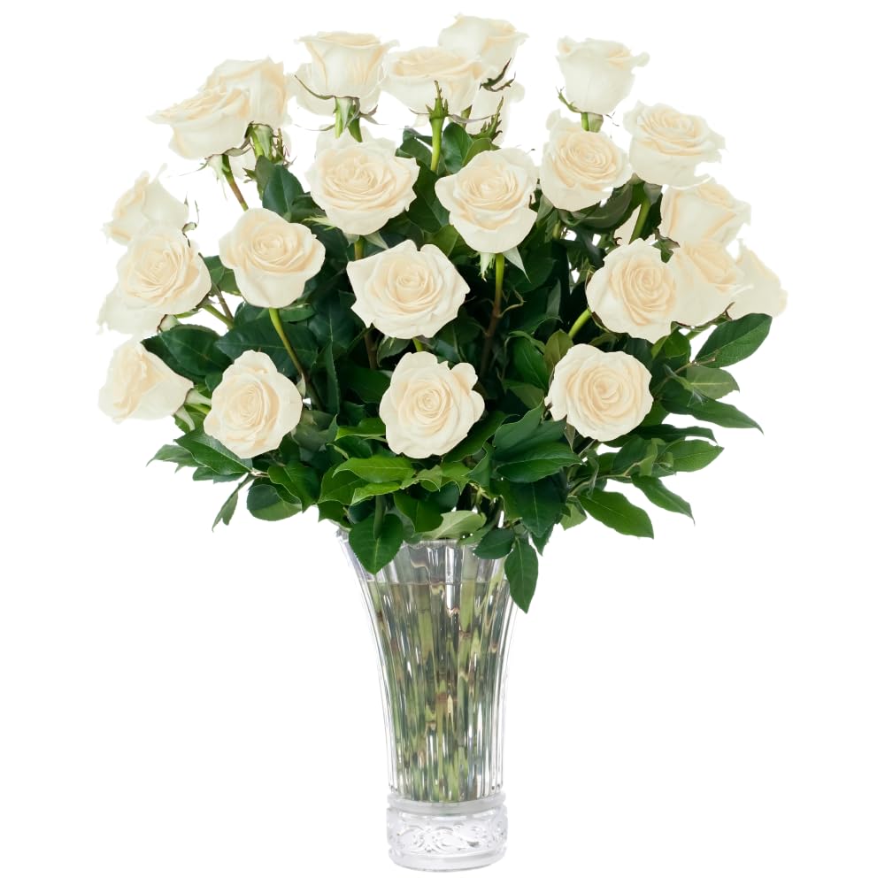 Aquarossa Farms - 24 White Roses, Fresh Flowers for Delivery, Flower Fresh Bouquet, Gift Idea for Graduation, Birthday, Annivers