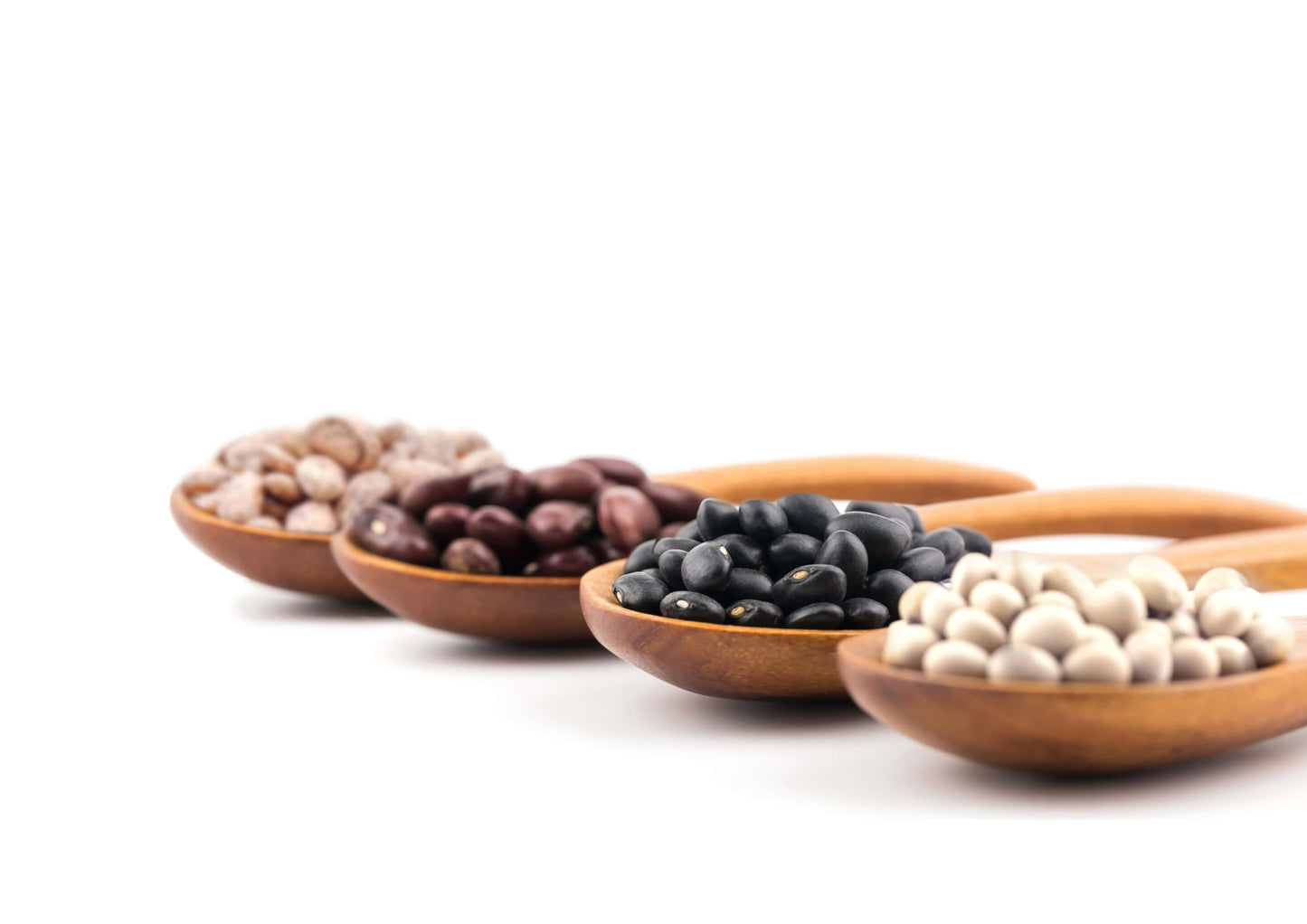Food to Live Organic Dry Beans Bundle, 4 Pack - Black Beans (5 LB), Pinto Beans (5 LB), Navy Beans (5 LB), Dark Red Kidney Beans