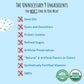 Kiki Milk Plant Based Milk Sample Kit - Chocolate, Unsweetened, Original - 32 Fl Oz Each - Gluten, Dairy, Soy Free