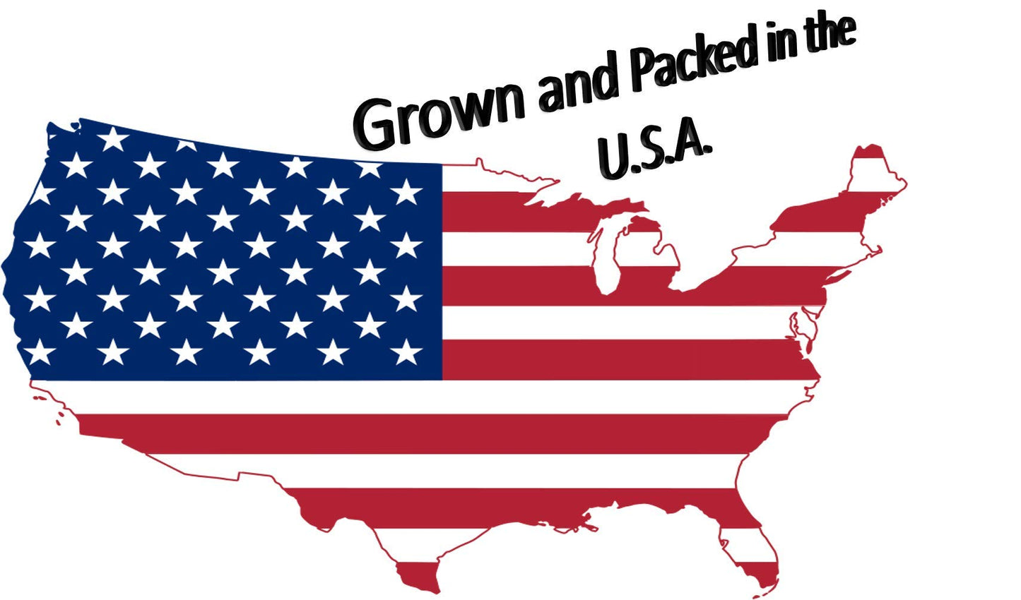Honey Roasted Sesame Sticks Sesame Sticks 2 Lbs Bulk Delicious & Fresh Snack ''Made In The Usa''