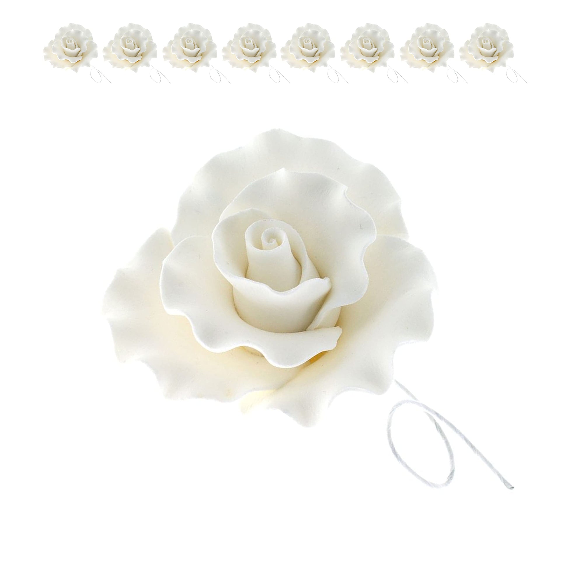Global Sugar Art Aussie Rose White Sugar Cake Flower Large, 8 Count by Chef Alan Tetreault