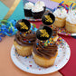 Missouri Western State University Secondary Logo Cupcake Picks Toppers Decoration Set Of 6