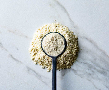 Savory Spice Horseradish Powder - Dried Horseradish Root - 2.15 oz Medium Jar - White
