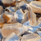 AvenueSweets Vegan Sea Salt Soft Caramels - Handcrafted Dairy Free - 2 x 5.2 oz Boxes - Individually Wrapped Treats