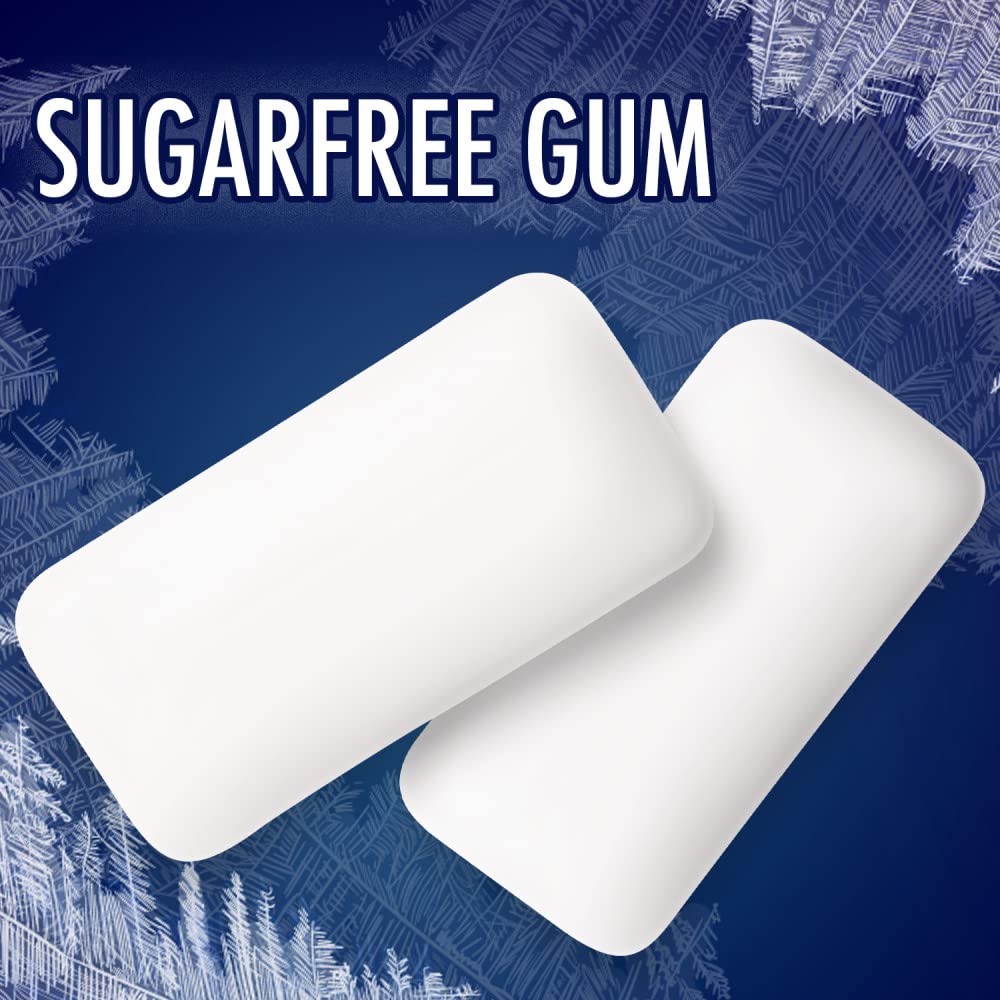 Eclipse Winterfrost Sugarfree Gum, 8.8-Ounce 180 Piece Bag