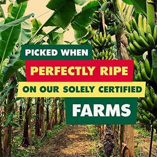 SOLELY - Organic Dried Mango Strips (5 oz Resealable Bags, Pack of 4) - Real Fresh Fruit - 1 Ingredient - Healthy Snacks for Adu