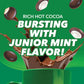 Tootsie Roll Junior Mints Hot Chocolate Pods, Mint Chocolate Flavor, 40 Count, Compatible with Keurig K-Cup malt-inspired, Rich Brown
