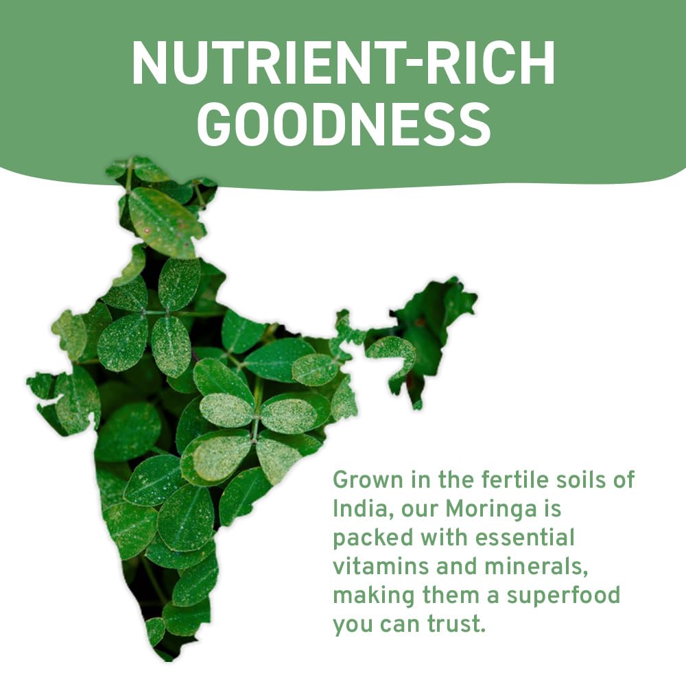 HANDPICK Organic Moringa Tea Bags - 100 Count, Non-GMO, Caffeine Free, Eco-conscious Round Bags