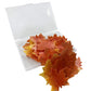 Edible Fall Leaves Set Of 35 Cake Decorations, Autumn Maple Leaf Cupcake Topper