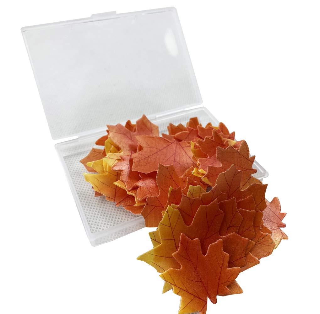Edible Fall Leaves Set Of 35 Cake Decorations, Autumn Maple Leaf Cupcake Topper