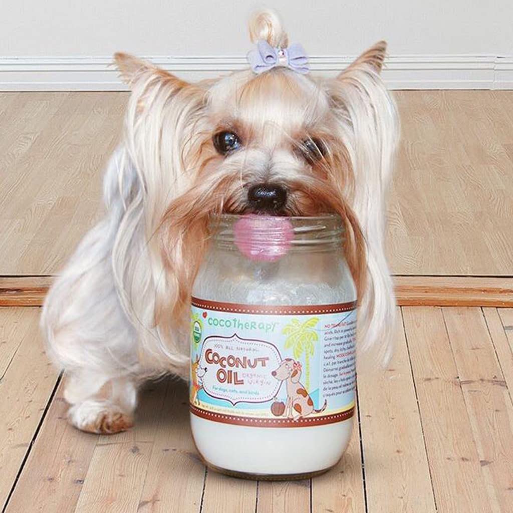 Cocotherapy Organic Virgin Coconut Oil for Pets, 16 Oz