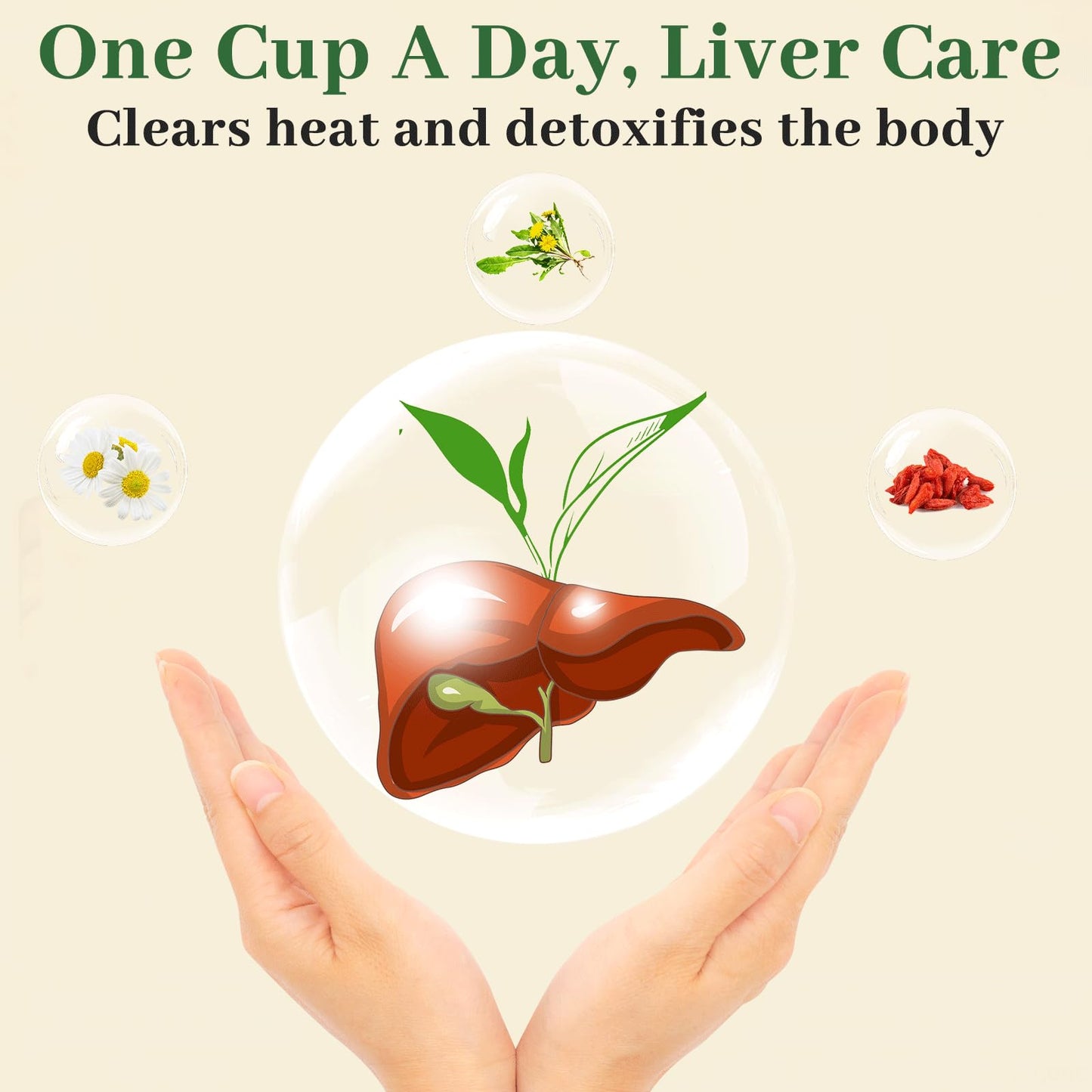 Liver & Kidney Detox Tea - Dandelion Wolfberry Tea  7 Herbal Ingredients Blend  Goji Berry Chrysanthemum Chinese Cassia Seed Kidney Cleanse (1)