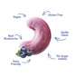 Earthside Farms Blueberry Vanilla Cashews, Candied Cashews, Low Sugar Keto Snack, Non Gmo, Plant Protein, Vegan, Whole, Natural,