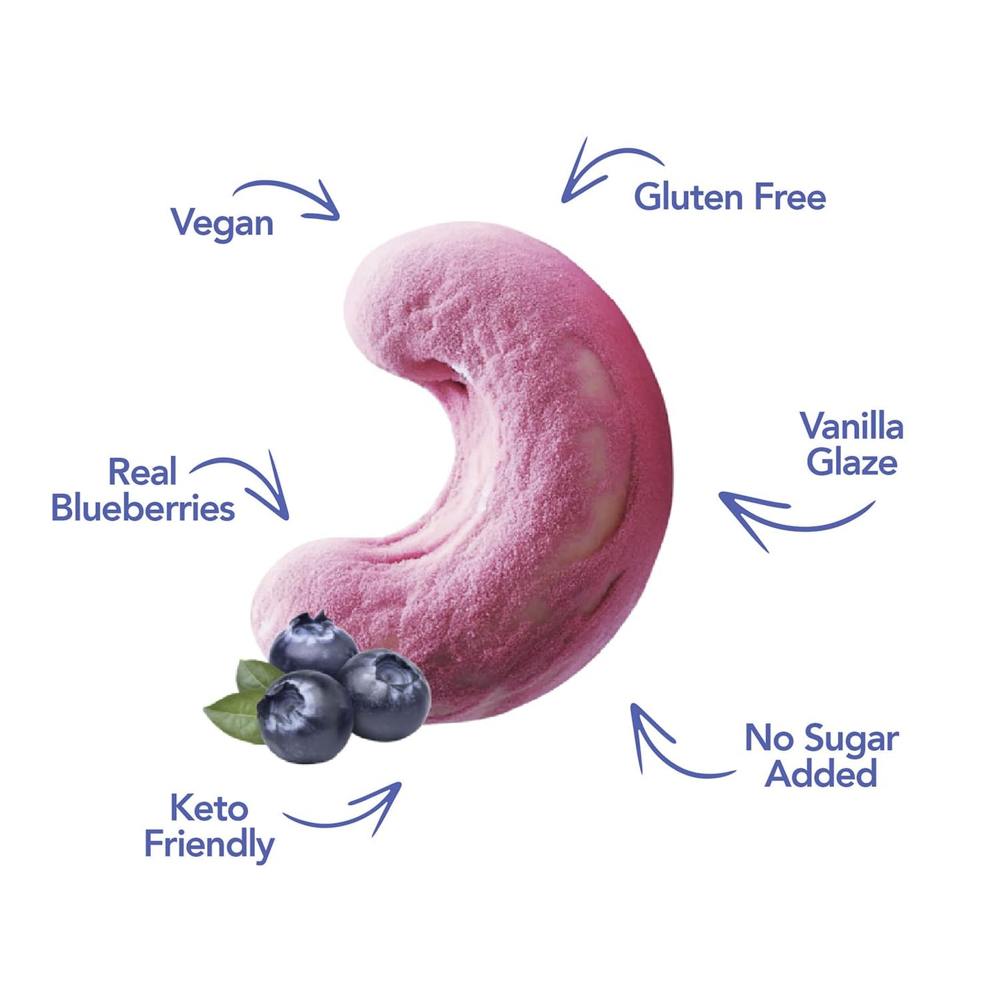 Earthside Farms Blueberry Vanilla Cashews, Candied Cashews, Low Sugar Keto Snack, Non Gmo, Plant Protein, Vegan, Whole, Natural,