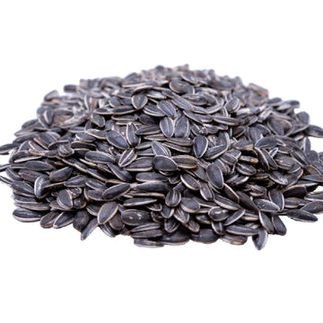 Gerbs Unsalted Whole Sunflower Seeds 1 Lb. Resealable Bag | Top 14 Allergy Free | Healthy Superfood Snack | Crack Shell Eat Kernel | Grown In Usa