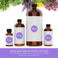 Oil Of Youth Cinnamon Bark Essential Oil - Therapeutic Grade For Aromatherapy, Diffuser, Relaxation, Massage - Dropper - 4 Fl Oz