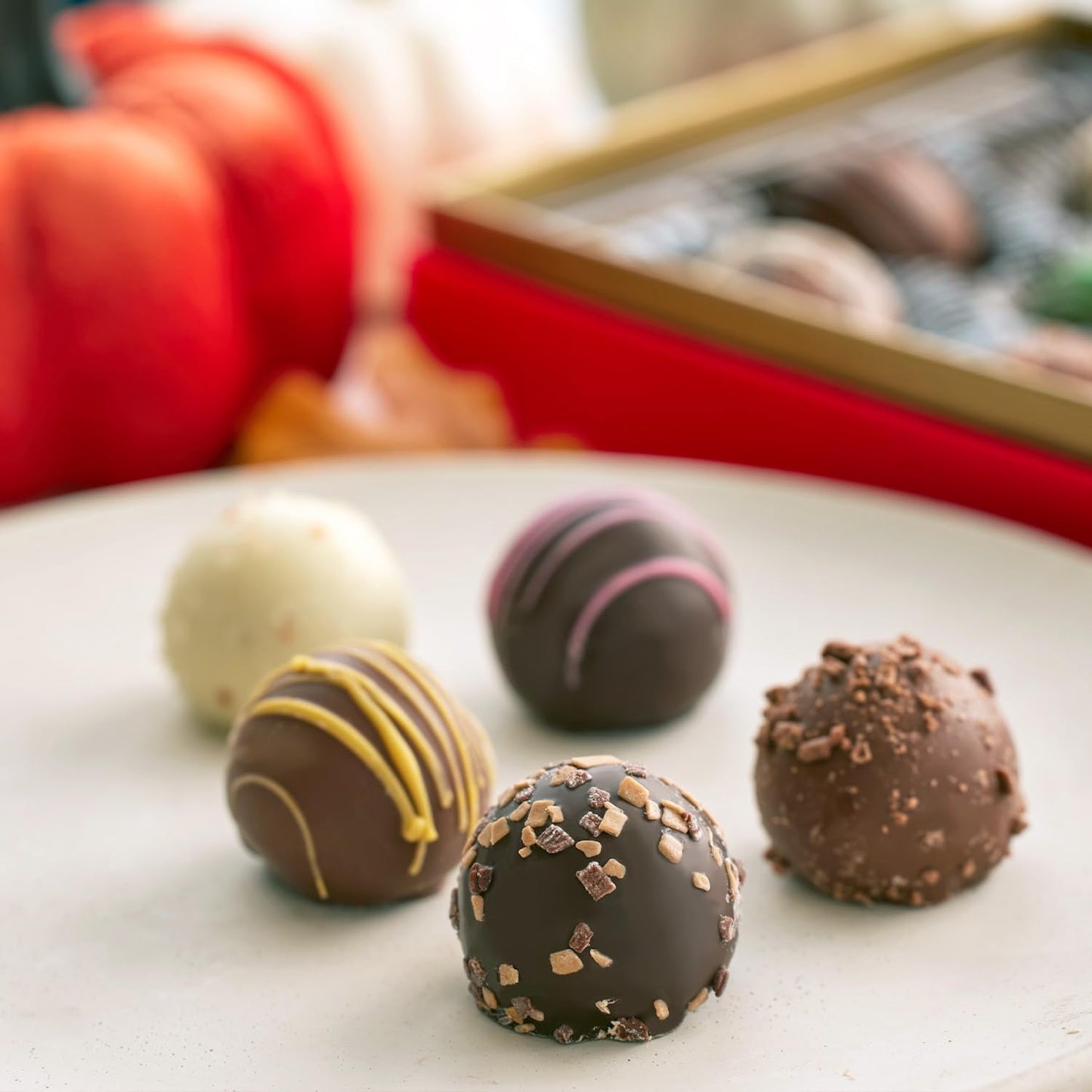 CRAVINGS BY ZOE Gourmet Chocolate Truffle Gift Box - 16 Count Assorted Milk & Dark Chocolate Candy
