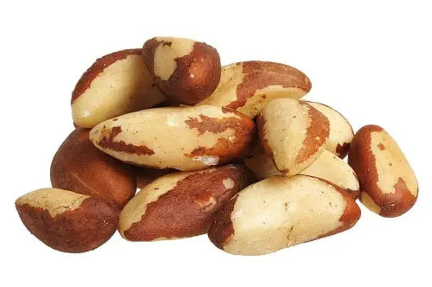 Freshly Roasted Brazil Nuts With Sea Salt (1 Lb.) - Super Crunchy - Roasted & Salted To Perfection In Small Batches For Added Fr