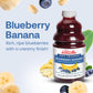 Dr. Smoothie 100% Crushed Blueberry Banana - No Added Sugar, Made With Real Fruits/Fruit Juice - Vegan, No Artificial Colors Or