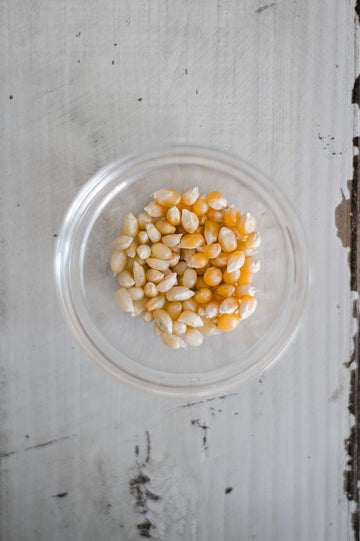 Amish Country Popcorn | 2-2 lb Bags | 2 lb Baby White & 2 lb Baby Yellow Popcorn Kernels | Old Fashioned, Non-GMO and Gluten Fre