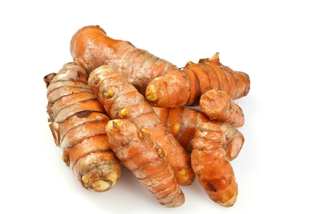 Fresh Wild Turmeric & Ginger Combo 1Lb Each By Nine Shani (5Lb)
