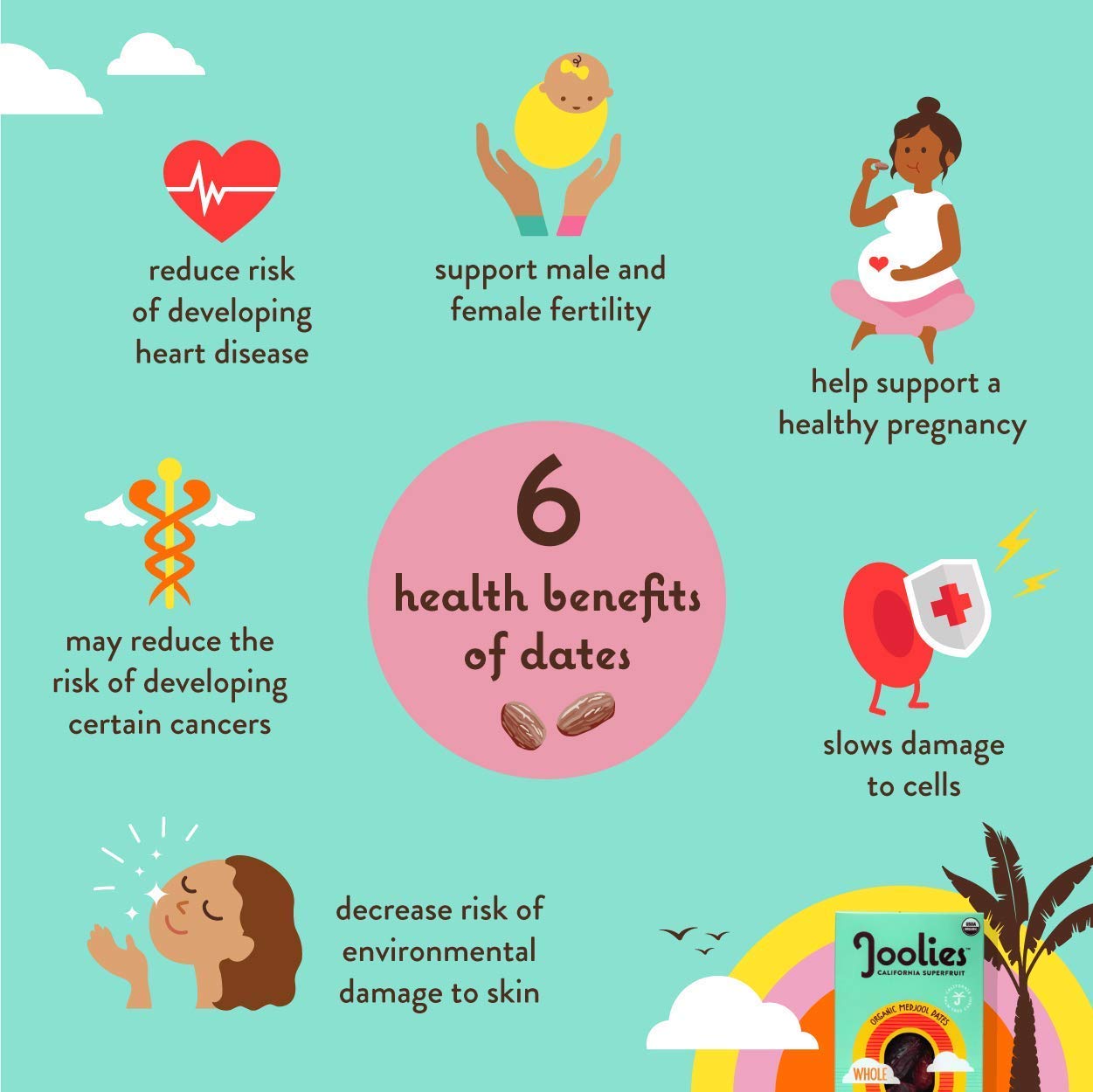 Joolies Organic Medjool Date Snack Pack | 3 Pit-Free Dates, 12 Pack | Fresh California Grown Fruit | Vegan, Gluten-Free, Paleo,