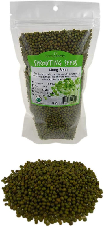 Mung Bean Sprouting Seed: 2.5 Lb - Organic, Non-GMO - Handy Pantry Brand - Dried Moong Beans for Sprouts, Garden Planting, Chine