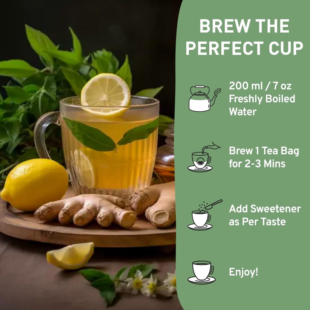 HANDPICK Lemon Ginger Tea Bags - Non-GMO, Caffeine Free, 100 Count, Eco-conscious Round Bags