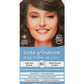 Tints Of Nature Permanent Hair Dye, Nourishes Hair  Covers Greys, 1 X 130Ml - 6C Dark Ash Blonde